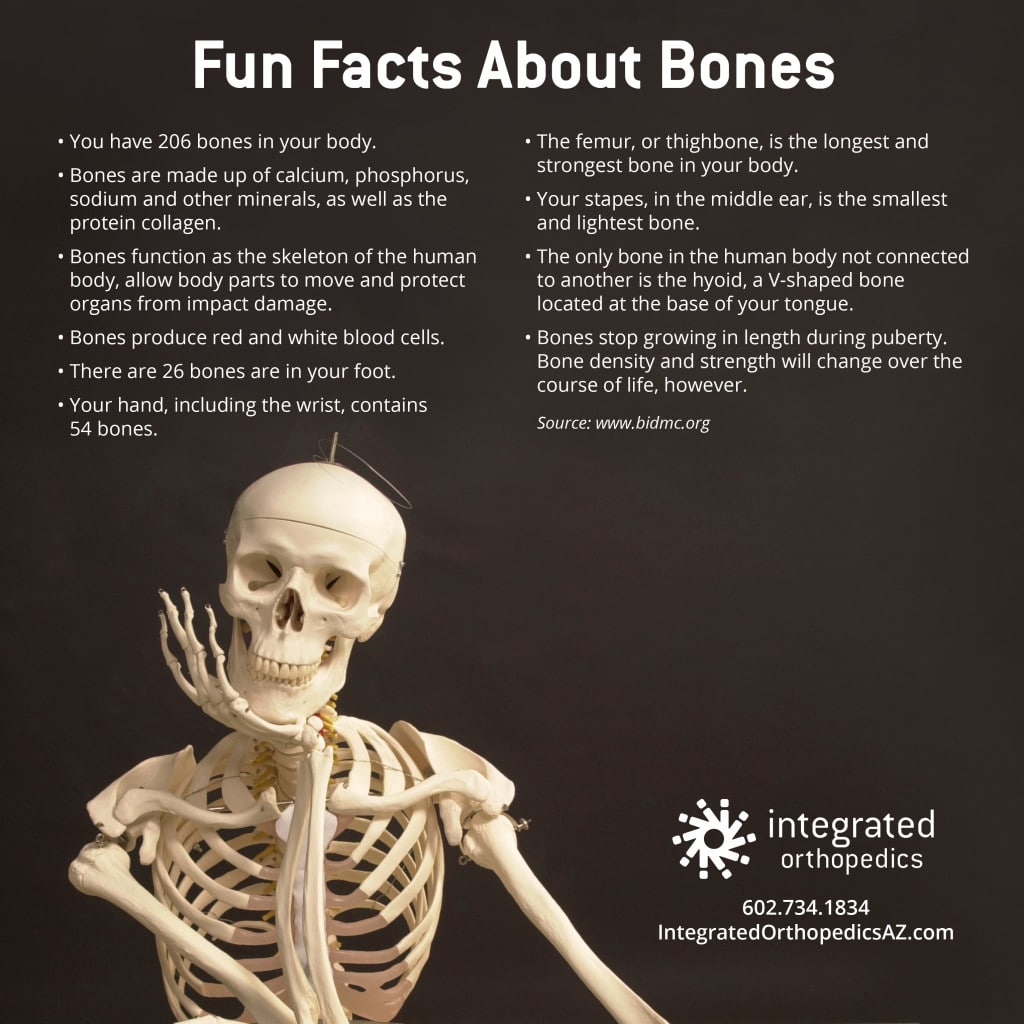 bone health, facts about bones, orthopedics, sports medicine